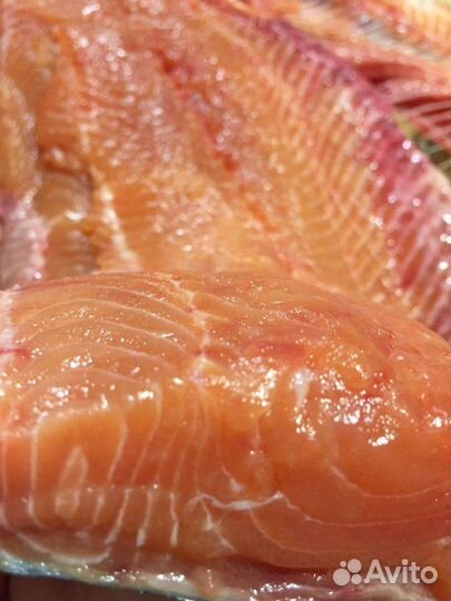 Свежая рыба вылов 2023г