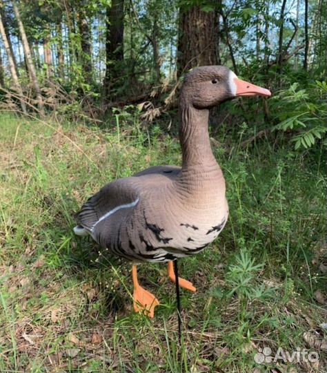 Чучела гусей для охоты живое перо North way Alfa