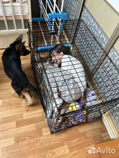 Клетка для собак номер 4