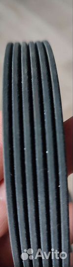 Ремень генератора renauit