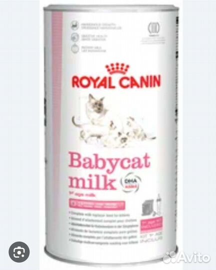 Сухое молоко для котят royal canin