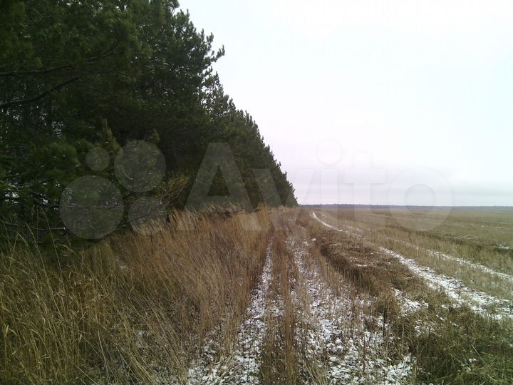 Участок 6 га (СНТ, ДНП)