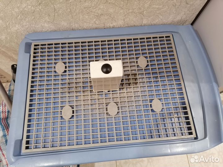 Лоток туалет для собак