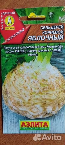 Рассада корневого сельдерея купить в Москве | Товары для дома и дачи ...