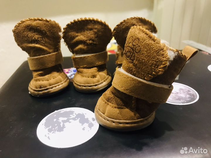 Ботинки для собаки