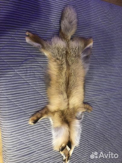 Шкуры лисы