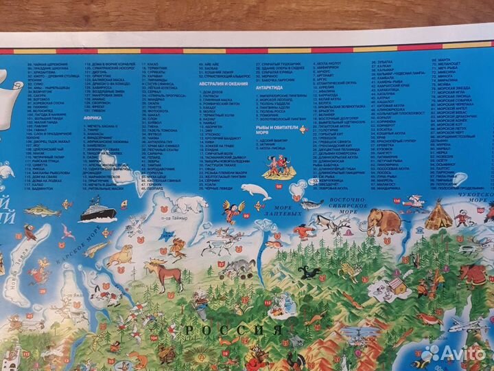 Детская карта мира 