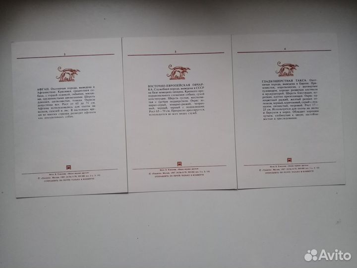 Наборы открыток СССР с животными (кошки, собаки)