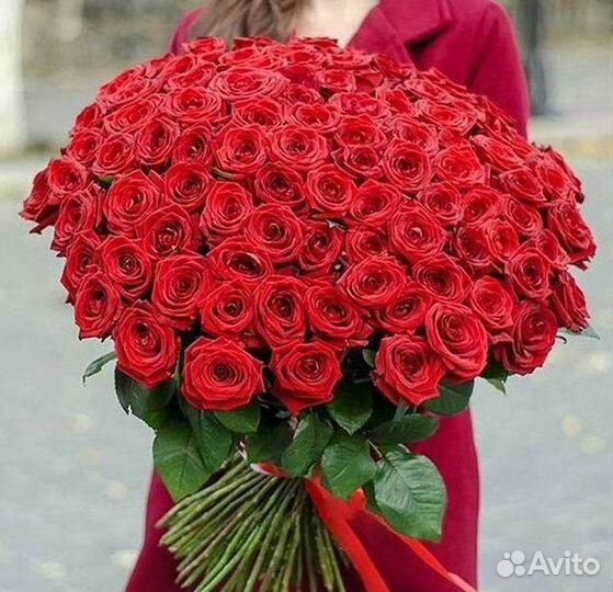 Розы гиганты 140 150 160 170 180 200