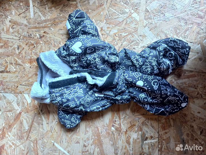 Костюм для французского бульдога