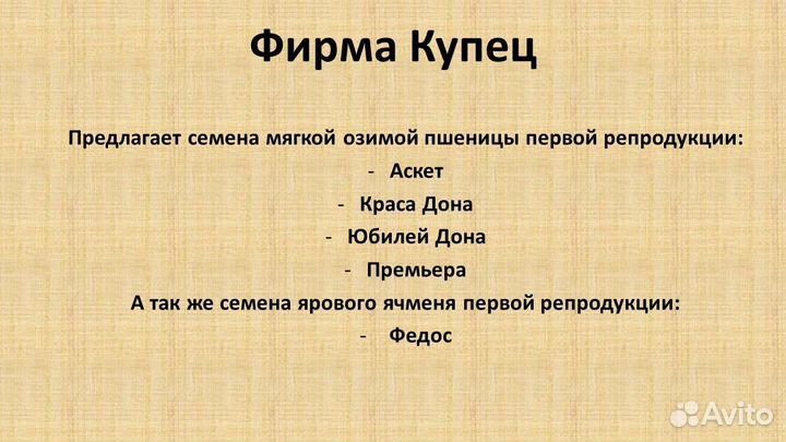 Семена мягкой озимой пшеницы