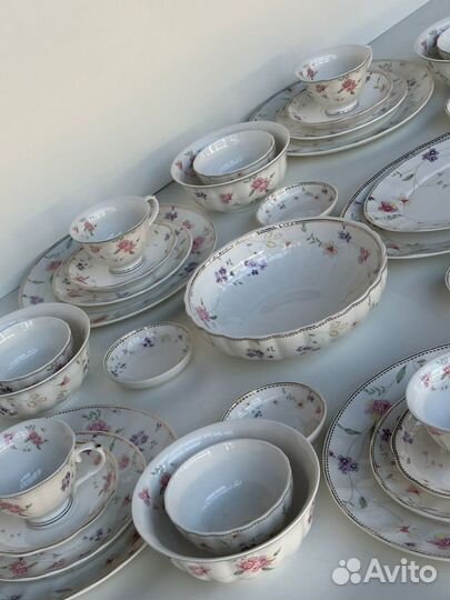 Сервиз Флориана (Вьюн) 6 перс. 45 предм.с розетк