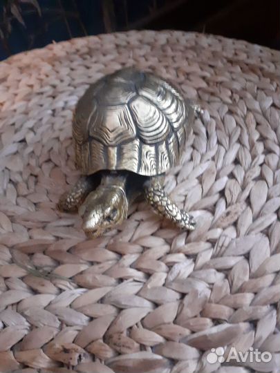 Золотая черепаха