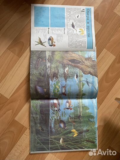 Детские энциклопедии