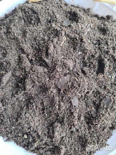 Жмых подсолнечный