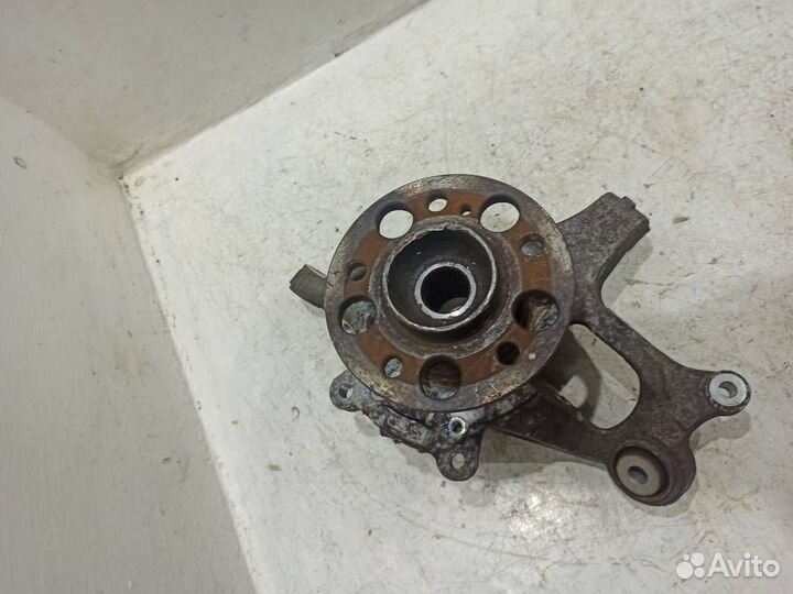 Кулак задний левый