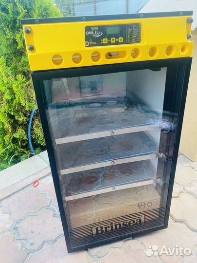 Инкубатор Brinsea OVA-easy 190 advance