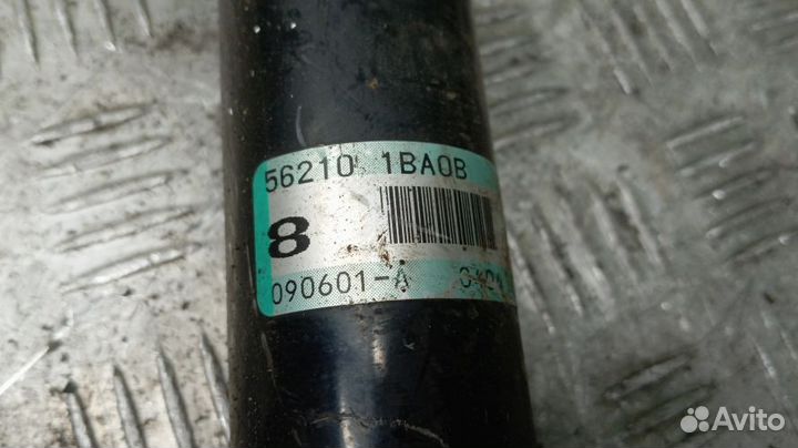 Амортизатор Infiniti Ex35 Задний