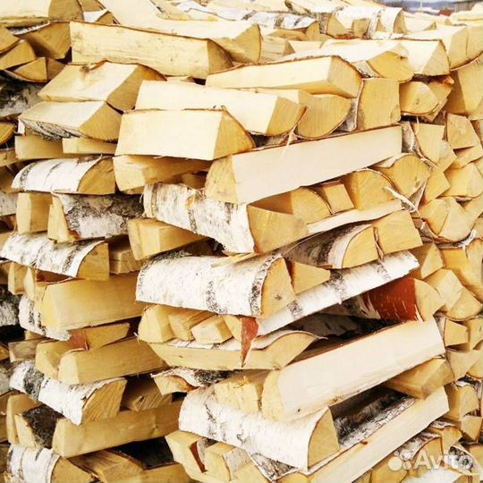 Дрова береза