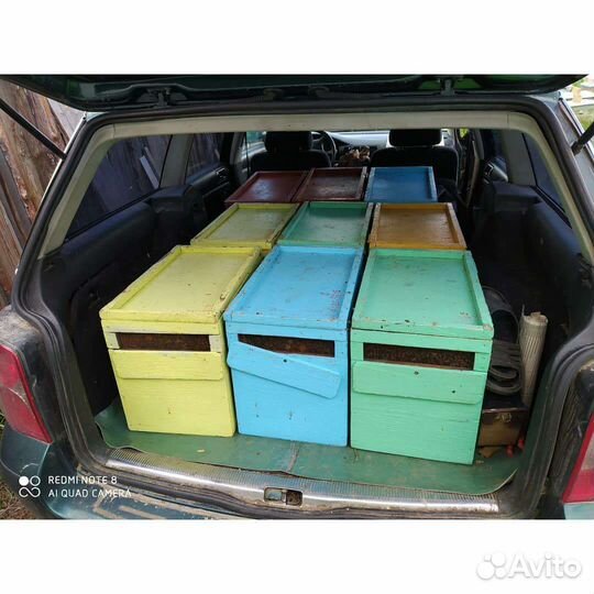 Пчелосемьи Карника