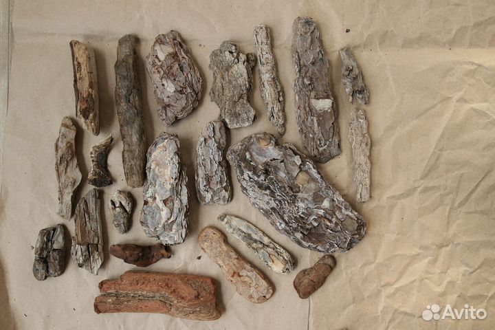 Палки деревяшки коряги для творчества дрифтвуд