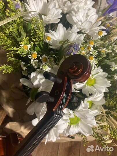 Детская скрипка