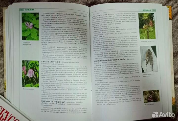 Книги нон фикшн