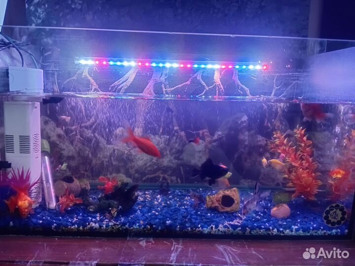 Украшение для аквариума