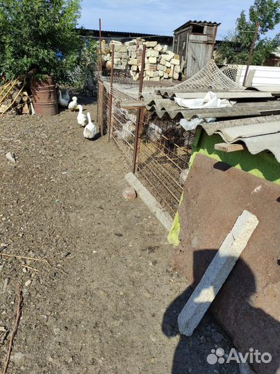 Рубероид наплавляемый