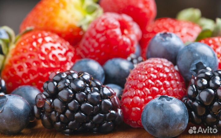 Вахта Карелия Москва/сборщик ягод без опыта