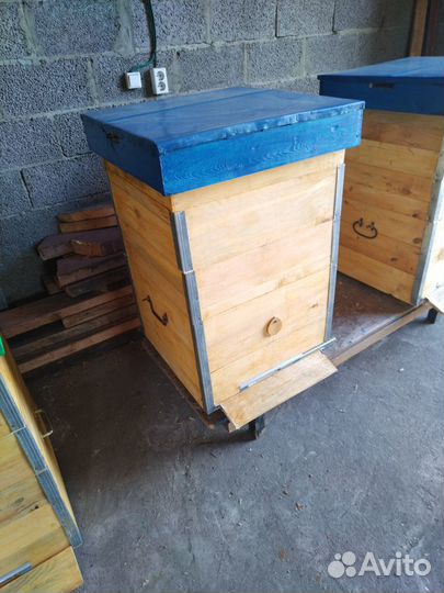 Улей для пчёл, мед