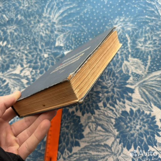 Водители, Екатерина Воронина