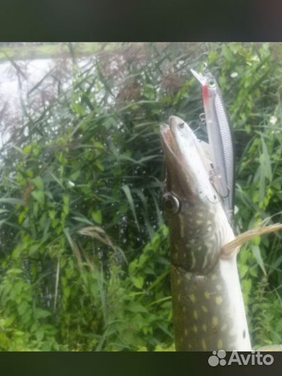 Воблер rapala shadow rap 11