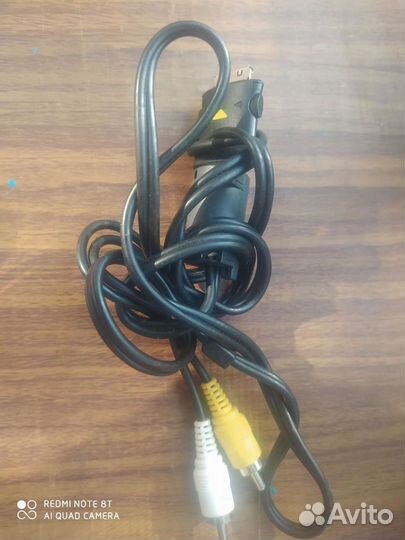 Тюльпаны провода