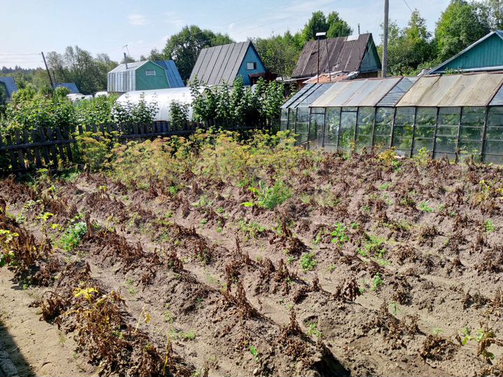 Дом 40 м² на участке 5 сот.