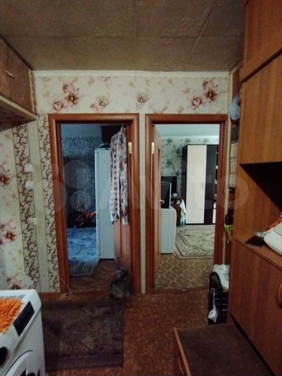 2-к. квартира, 50 м², 1/5 эт.