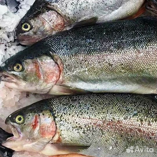 Печень трески Мурманск, икра форели из Карелии