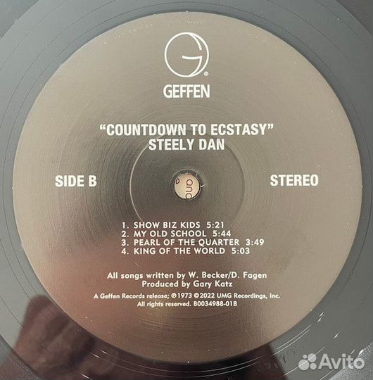 Виниловая пластинка Steely Dan - Countdown To Ecst