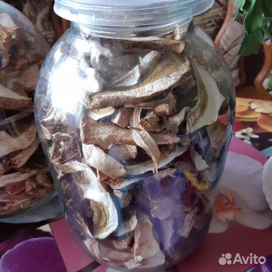 Грибы, Боровики