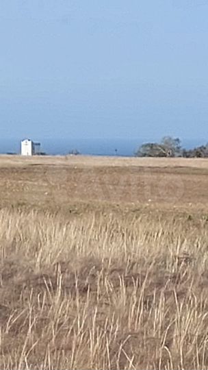 Участок 5,9 га (СНТ, ДНП)