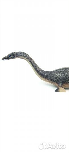 Плезиозавр