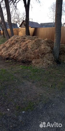 Навоз коровий