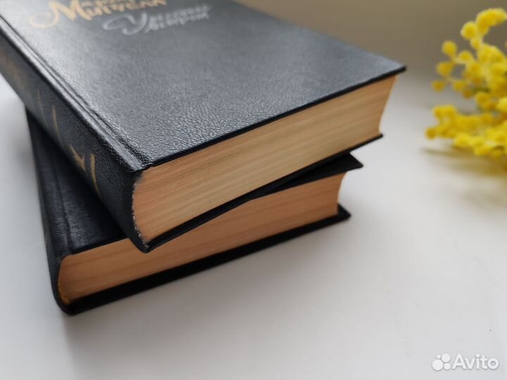 Унесенные ветром