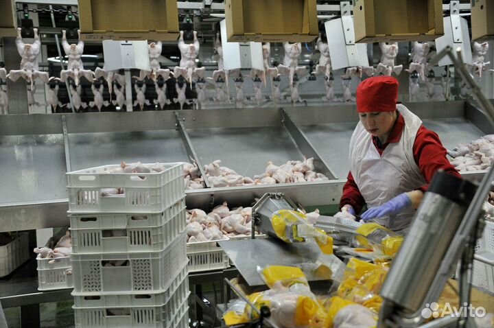 Оператор линии вахта проживание и питание