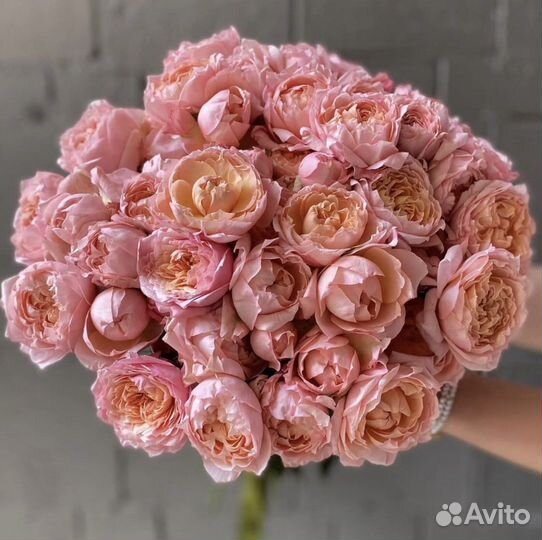 Тюльпаны к 8 марта Розы 101 51 с доставкой