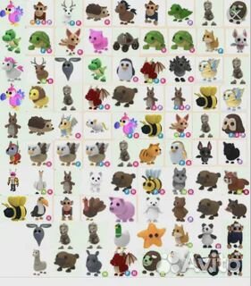 Петы адопт ми