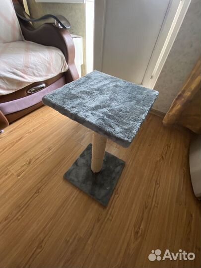 Когтеточка