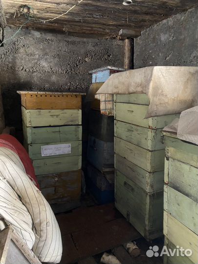 Пчелиные ульи