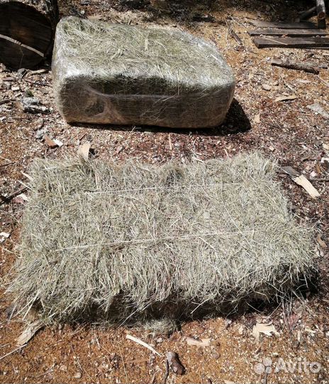 Сено в тюках