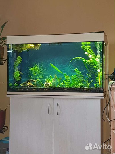 Аквариум 200 л (90 х 55 х 35)